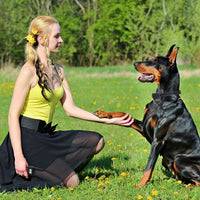 Train Collar OR Receiver Only Options - 3280FT Dog Training Collar IP67 Waterproof Pet Beep Vibration Electric Shock Col