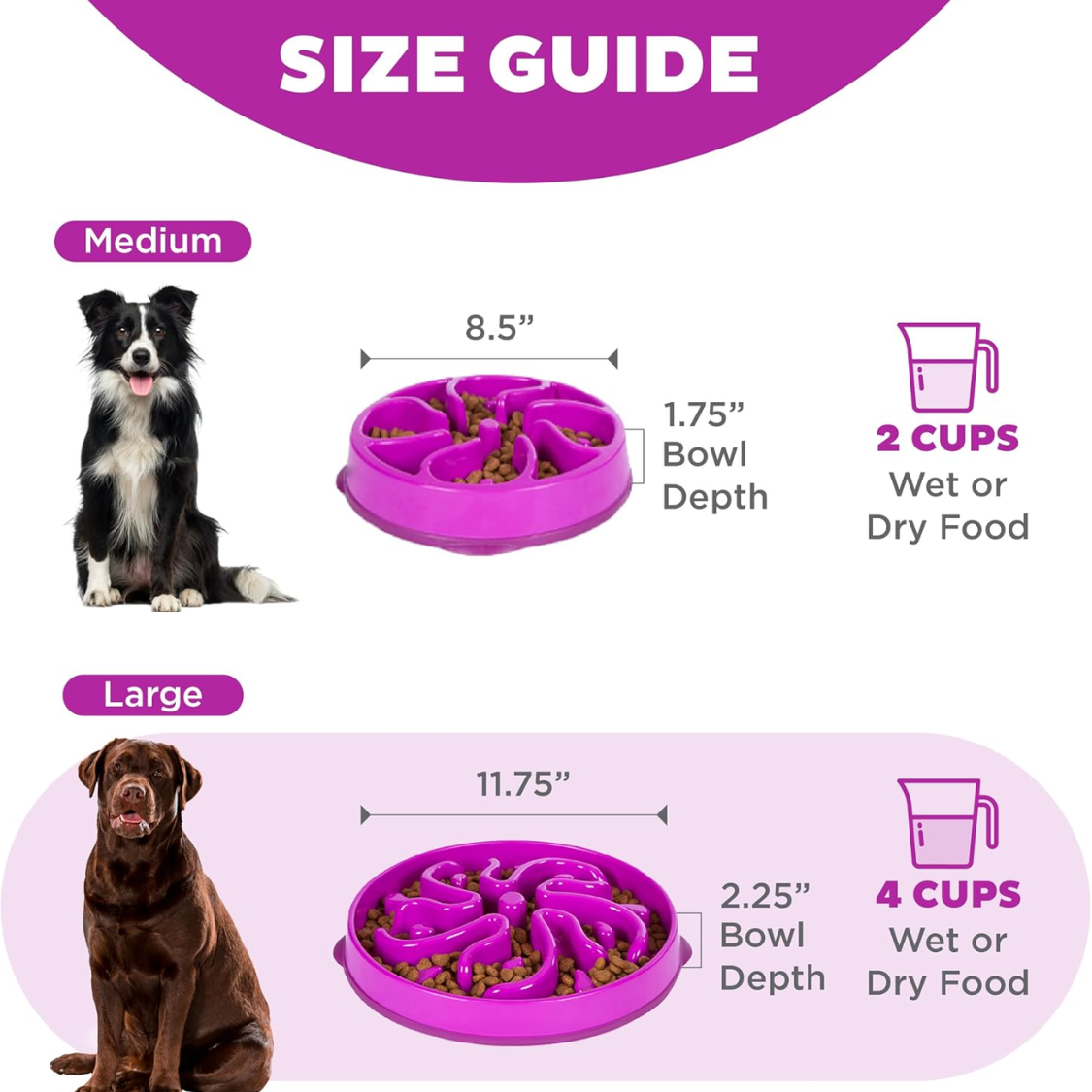 Hound Feeder Slo Bowl Large 4 Cup Capacity, Slow Feeding, Medium To Large Dogs, Non Slip, Purple, Flower Pattern