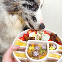 Java eBowl Deep Slow Feeder Dog Bowl for Enrichment | USA Made - BIG FRENCHIES