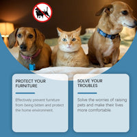 Natural Bite Deterrent Paste To Stop Pets Scratching & Chewing Furniture, Safe Indoor Use 120g