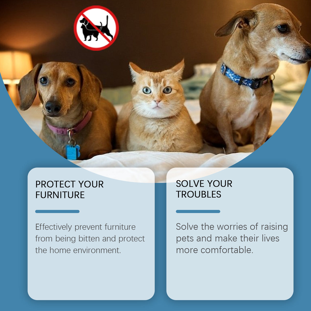 Natural Bite Deterrent Paste To Stop Pets Scratching & Chewing Furniture, Safe Indoor Use 120g
