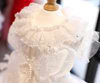 Dog Dress White Butterfly Lace Wedding