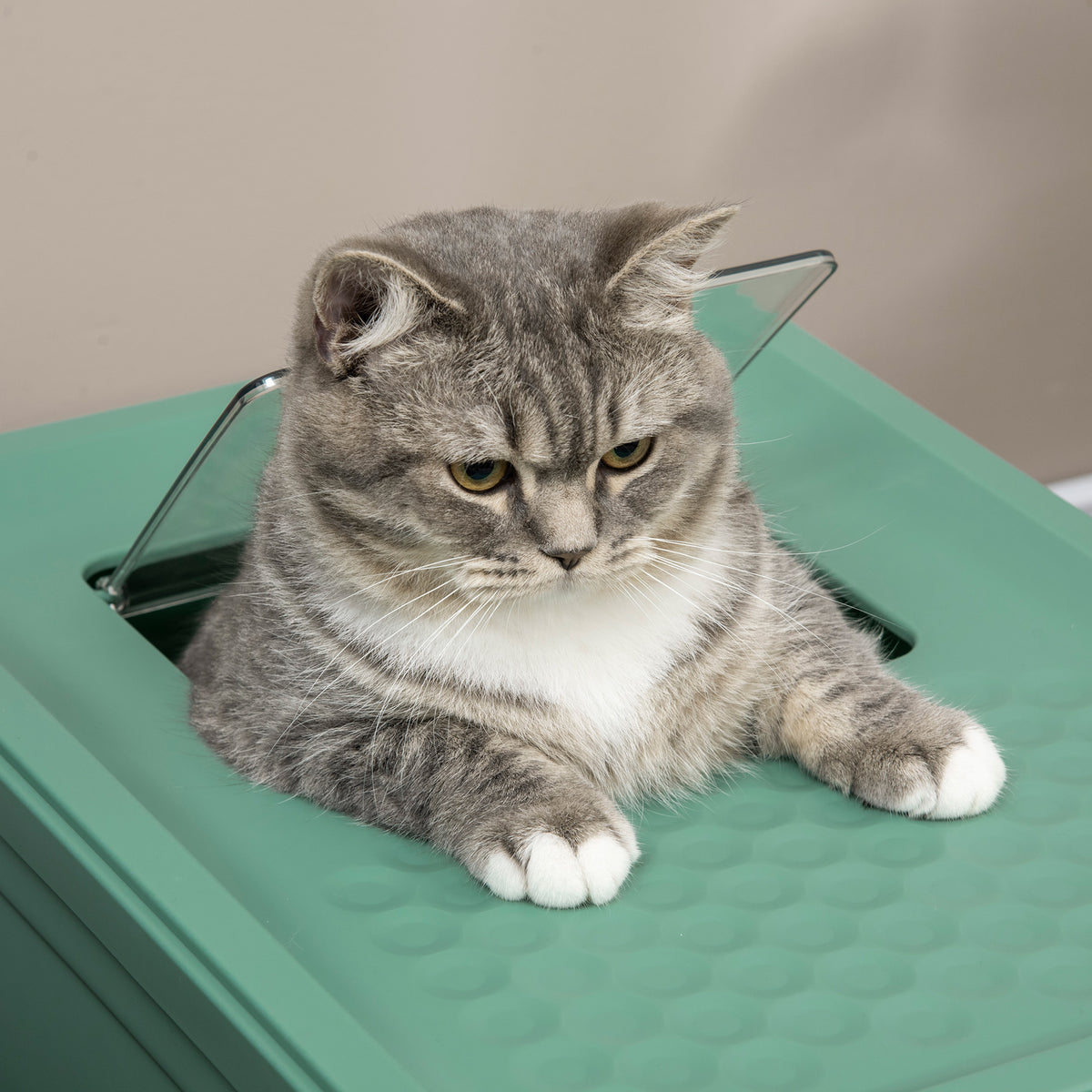 Fully Enclosed Cat Litter Box with Front Entry and Top Exit, Plastic, Green & White