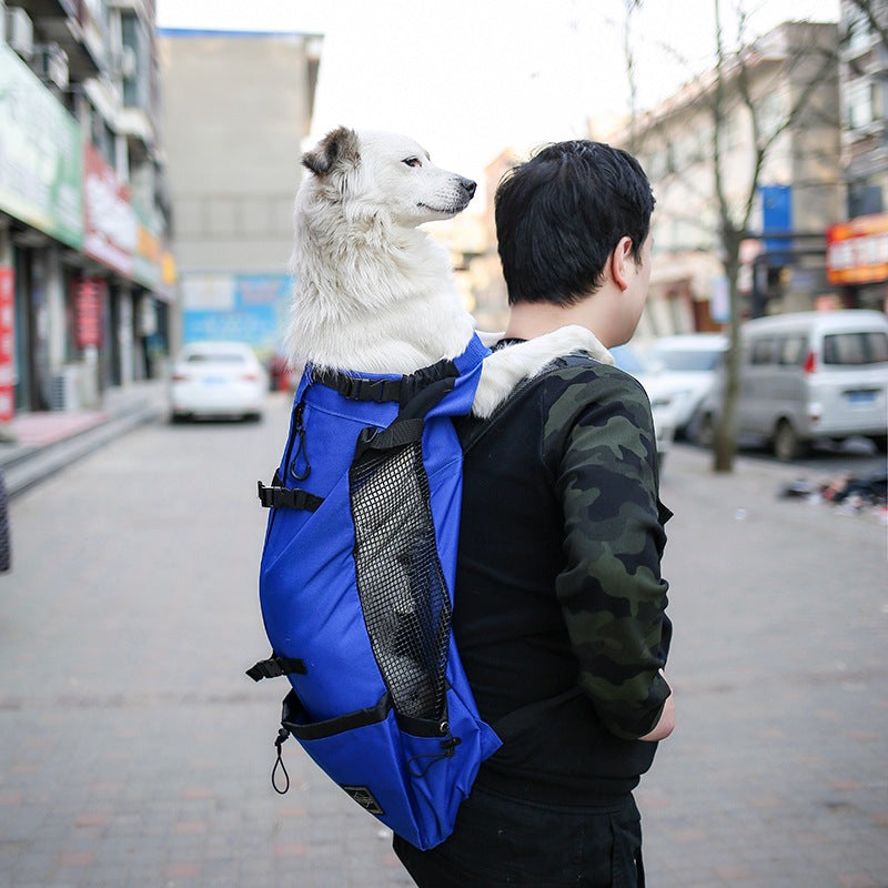 Pet Dog Carrier Bag Carrier For Dogs Backpack Out Double Shoulder Portable Travel Backpack Outdoor Dog Carrier Bag Trave