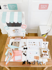 Vet Clinic Dramatic Play