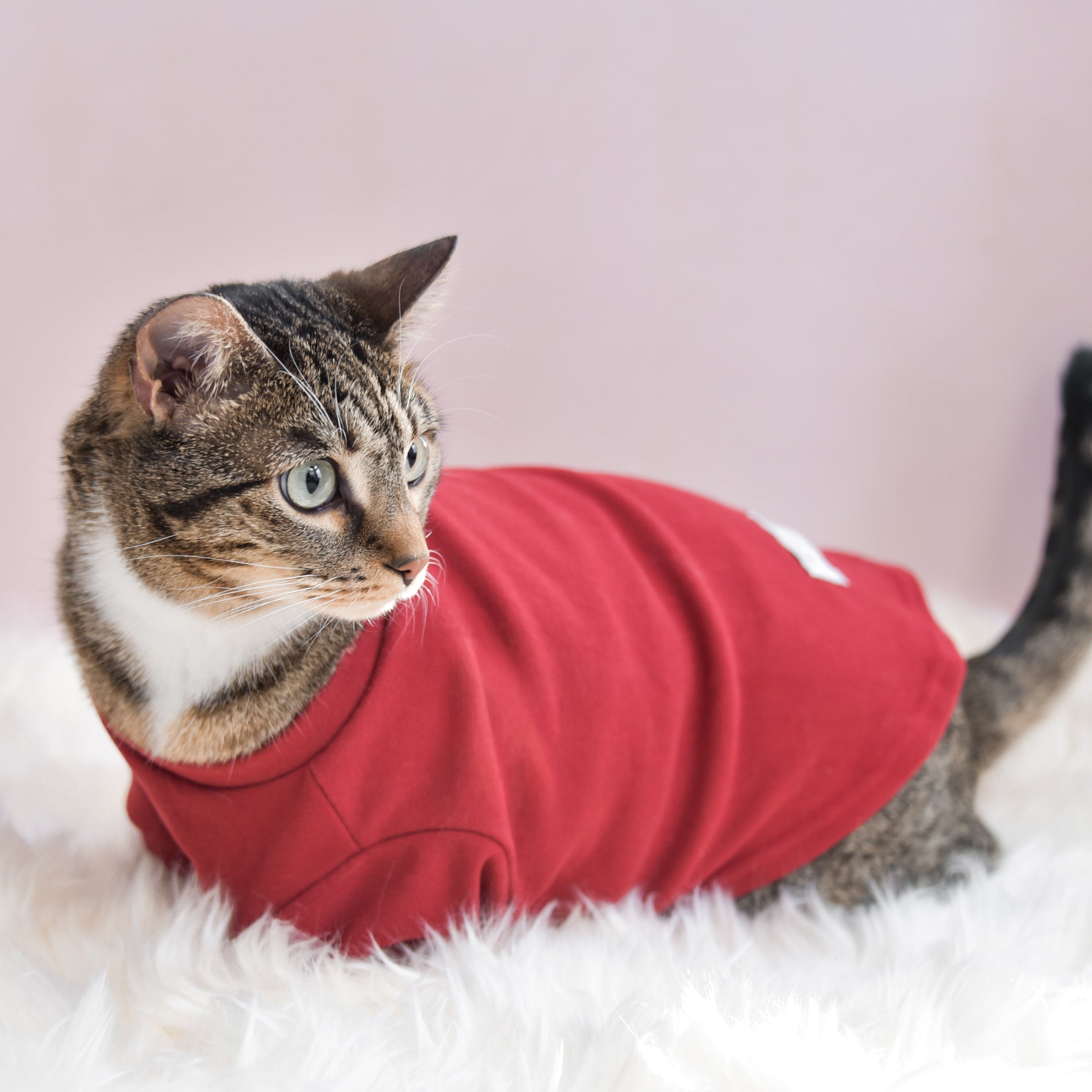 “Spoiled” Mock Neck Shirt - Lucky in Love