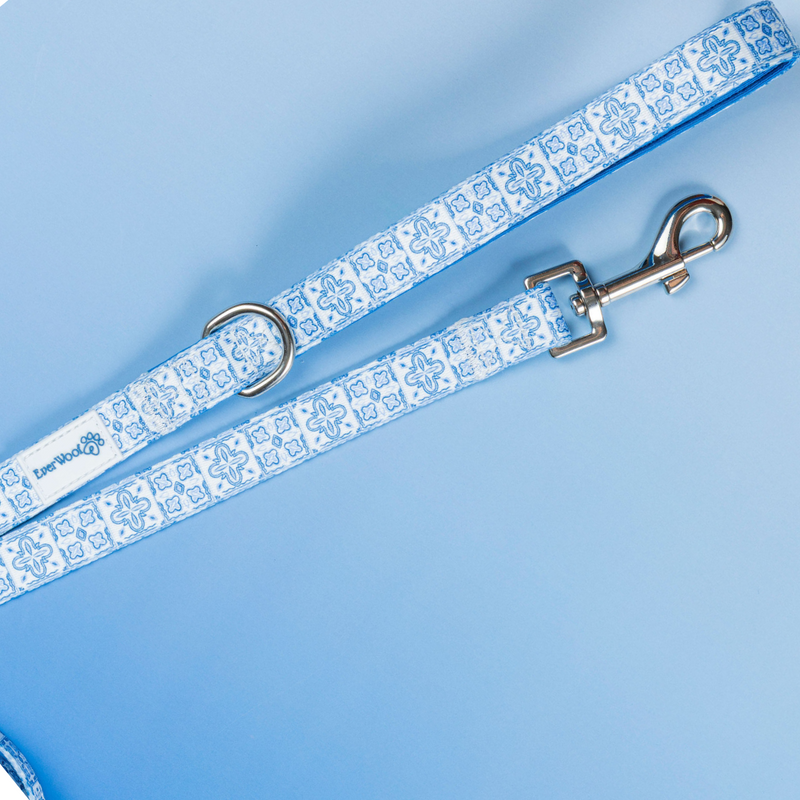 Santorini Leash-Leash-BIG FRENCHIES-EverWoof