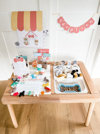 Pet Adoption Clinic Dramatic Play