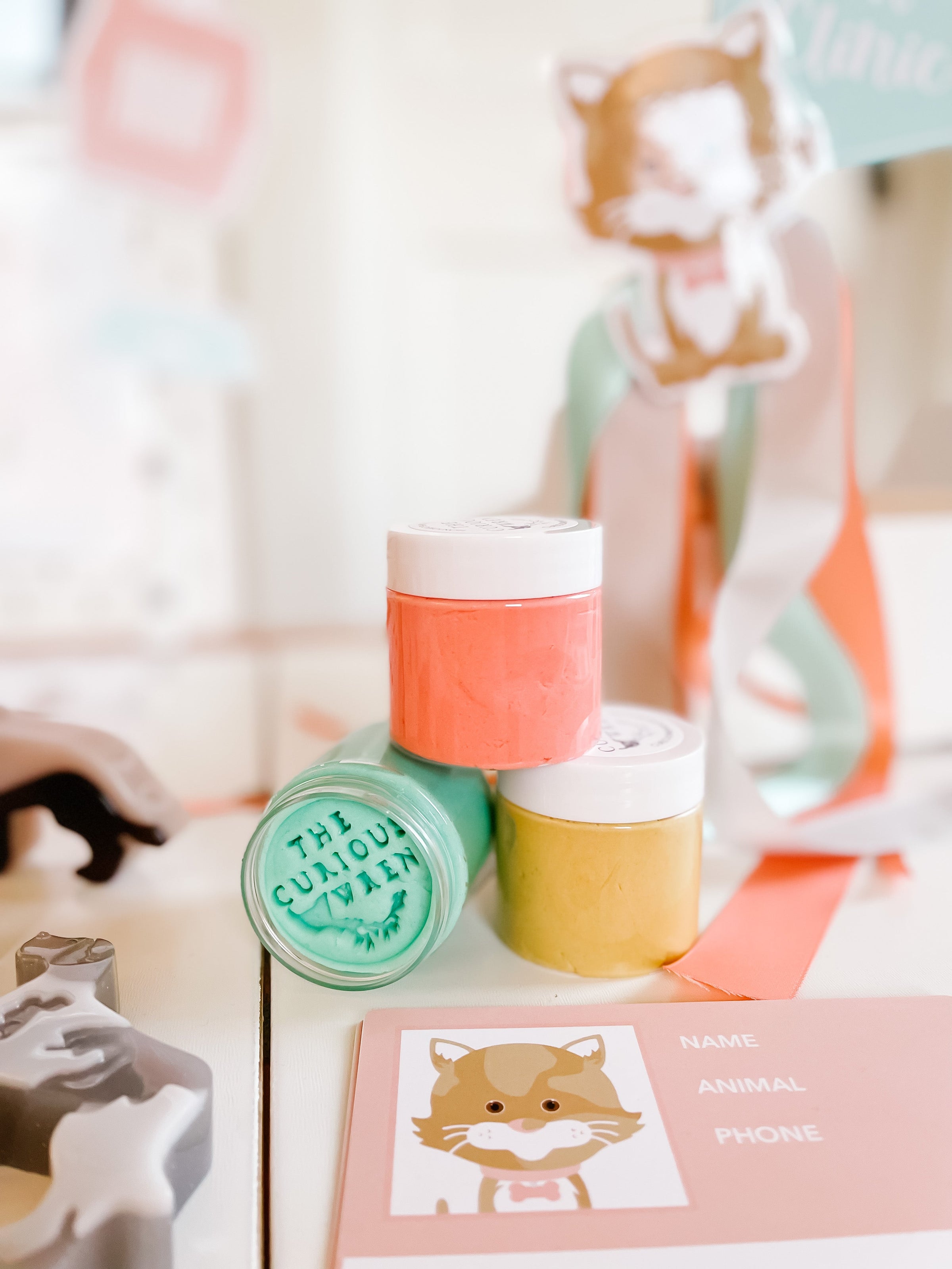 Vet Clinic Dramatic Play