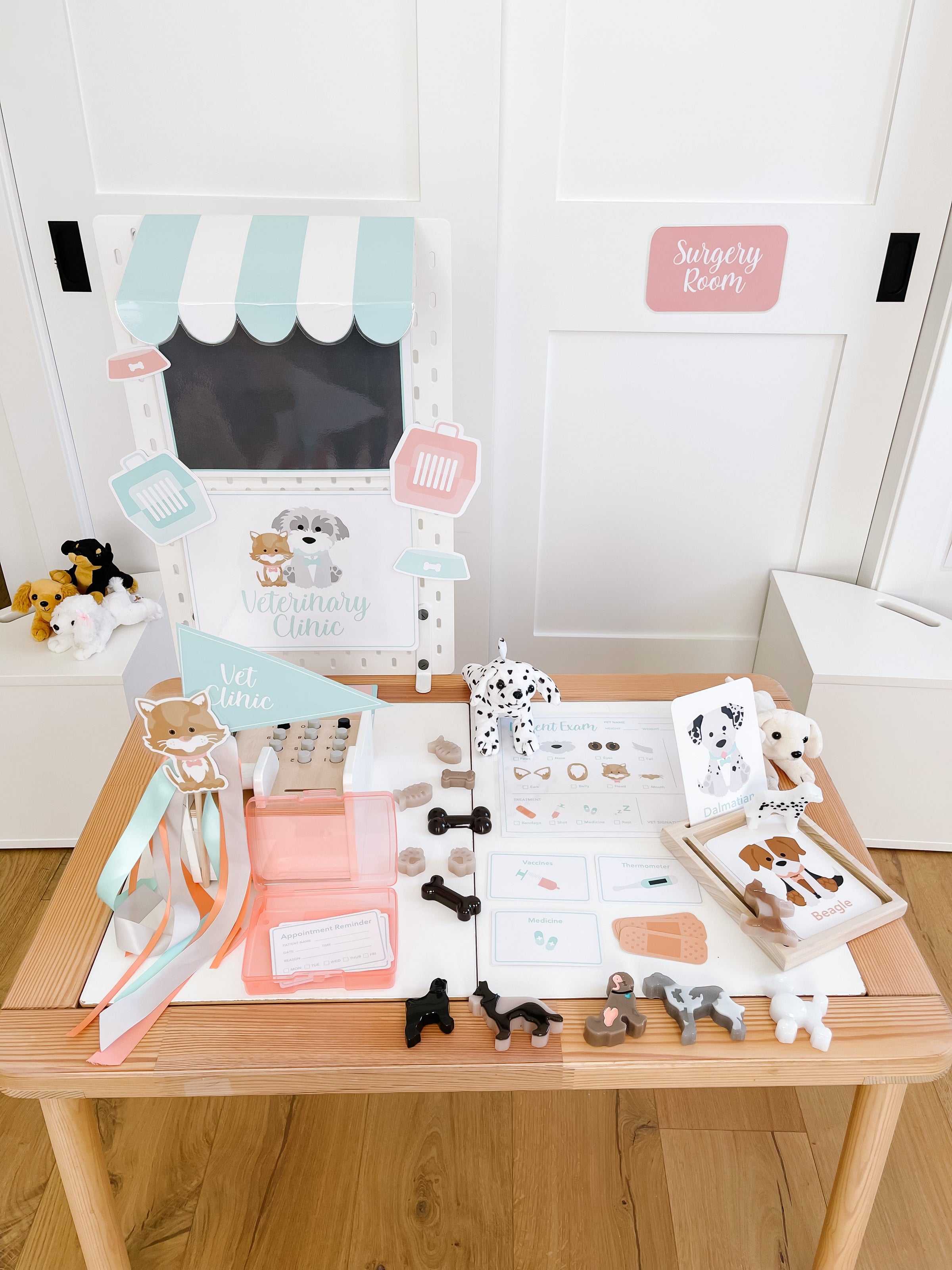 Vet Clinic Dramatic Play