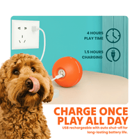 DOG’S INTERACTIVE BALL