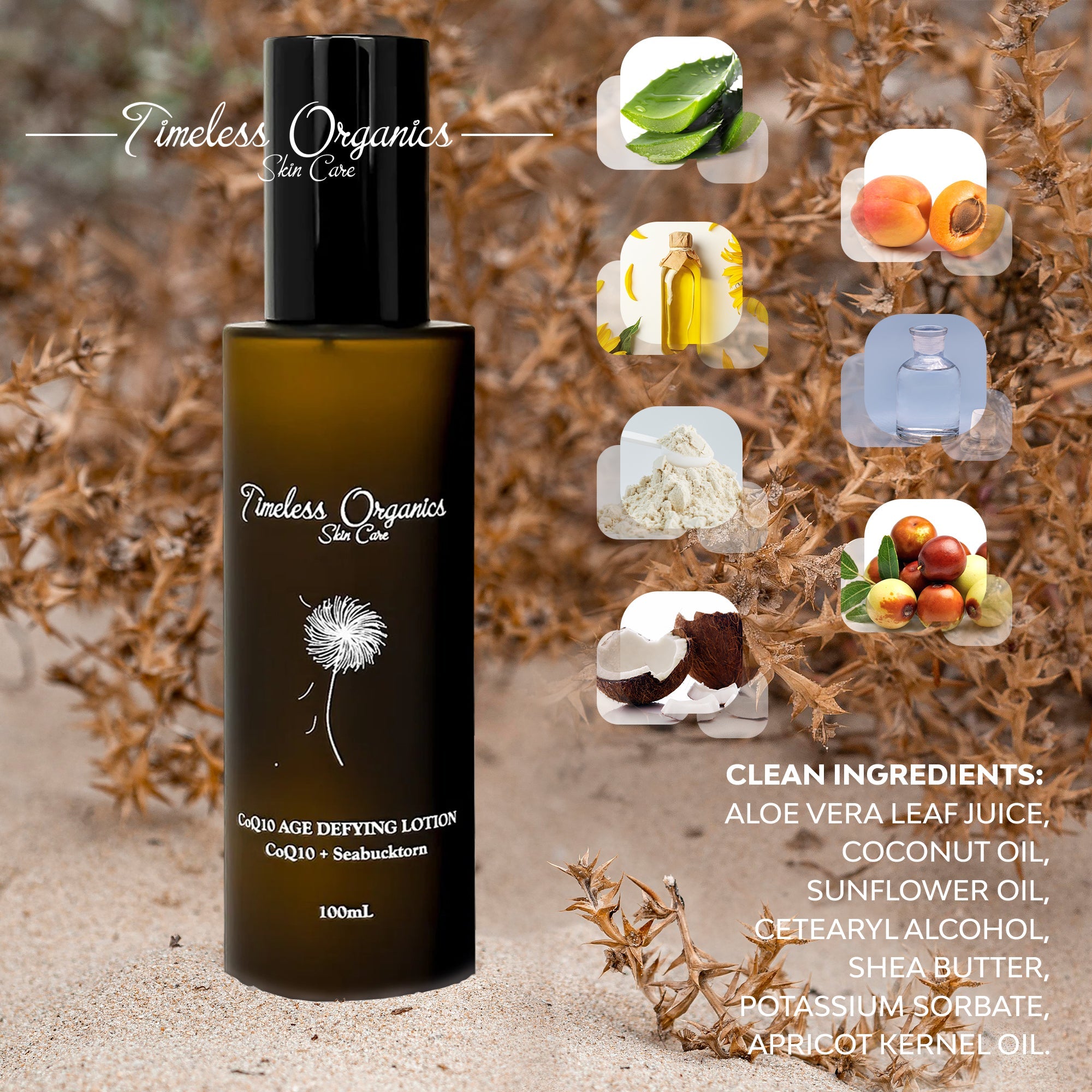 CoQ10 Age Defying Lotion - BIG FRENCHIES