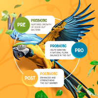 Pre+Pro+Post Biotics Blend for Parrots - 1.06oz