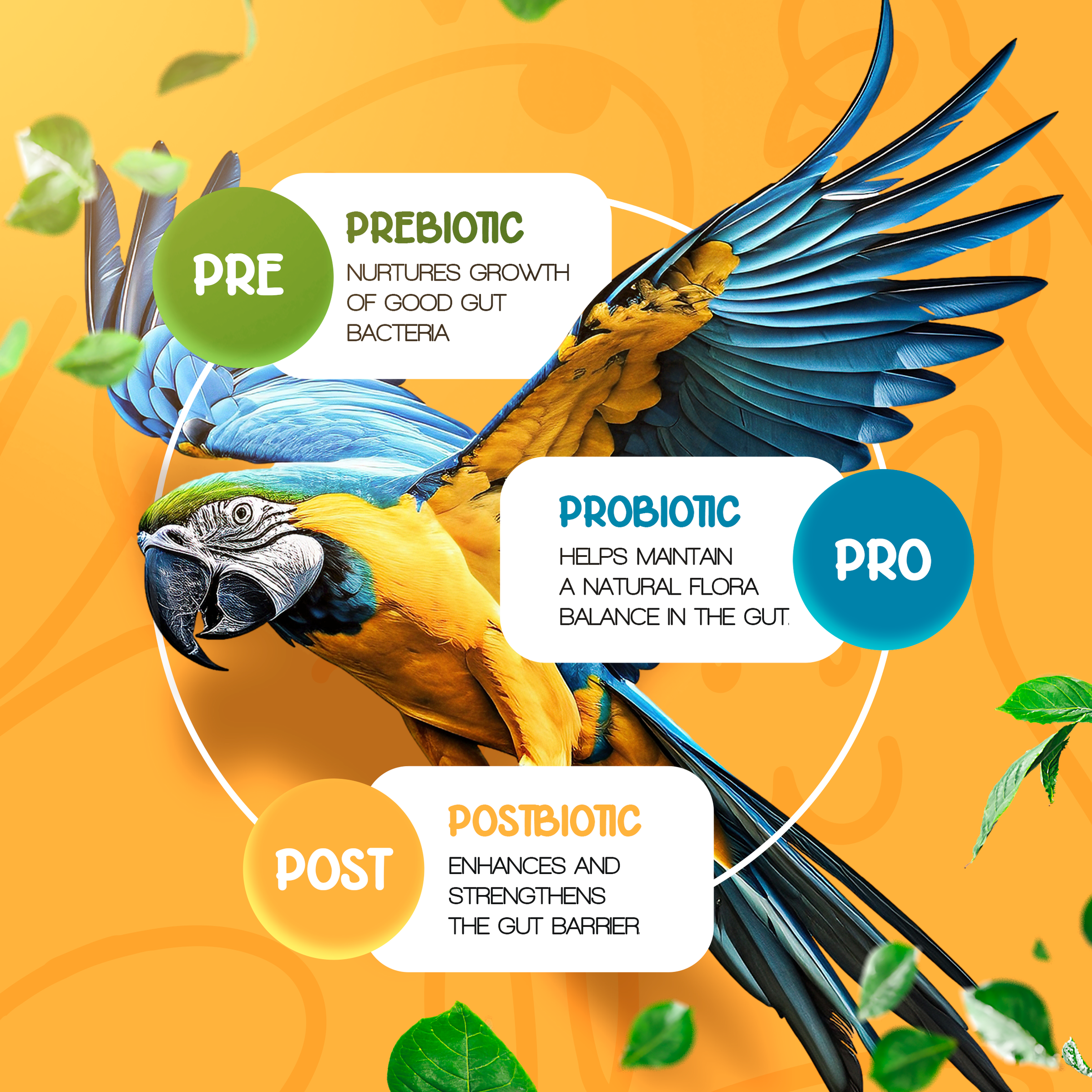Pre+Pro+Post Biotics Blend for Parrots - 1.06oz