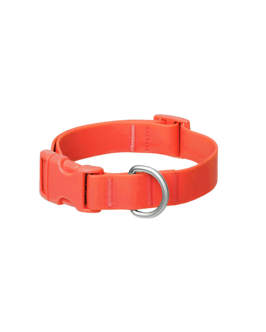 Original Waterproof Dog Collar - BIG FRENCHIES