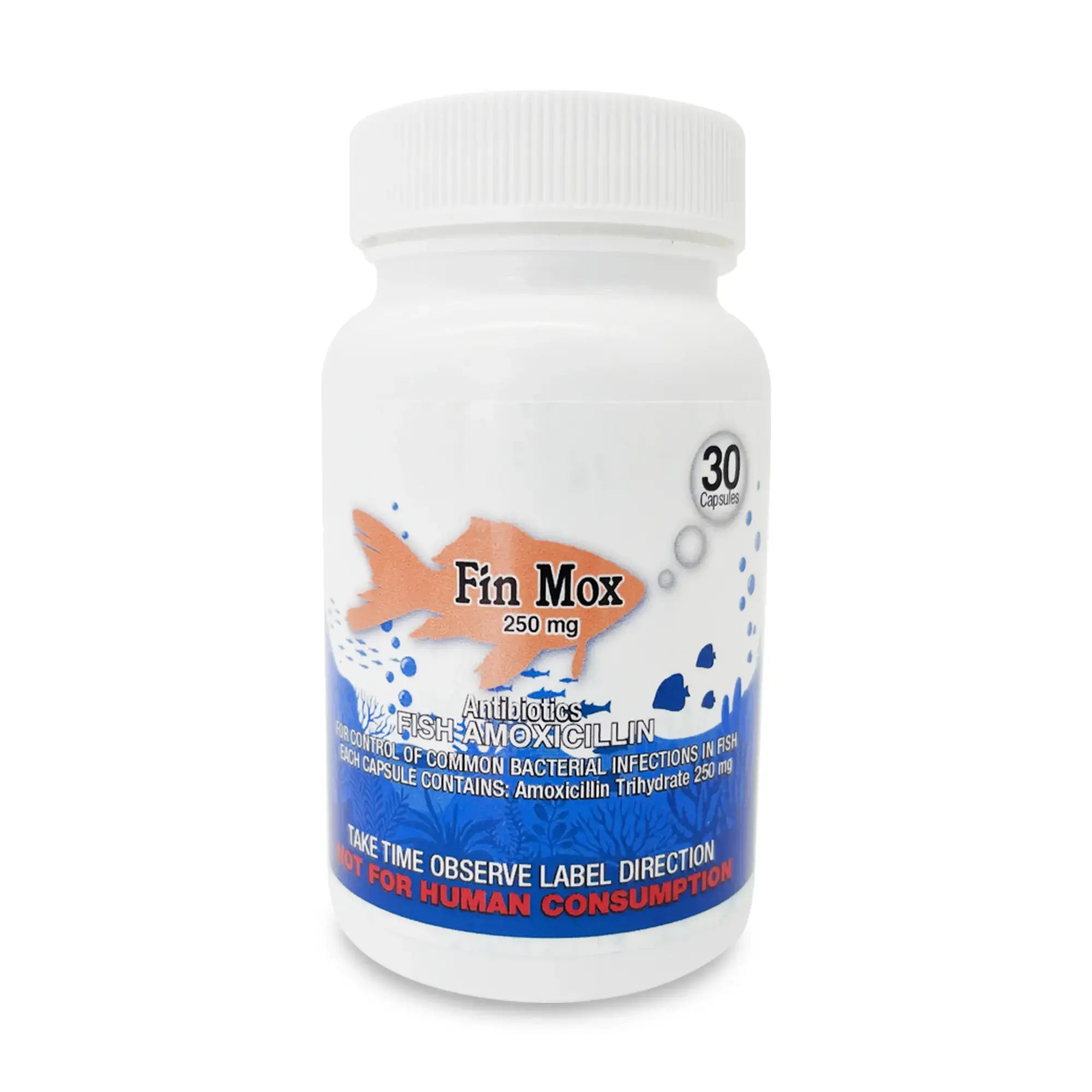 Fish Mox 250mg Capsules for Aquarium Fish – Water Care Support