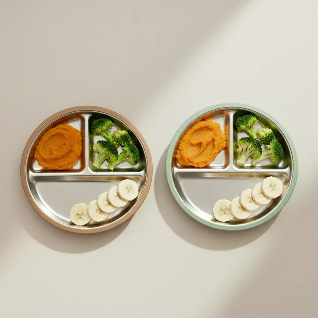 Stainless Steel Plate Set of 2 (Mocha Mousse & Sage Green) - BIG FRENCHIES