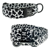 Dog Collar & Leash Sets