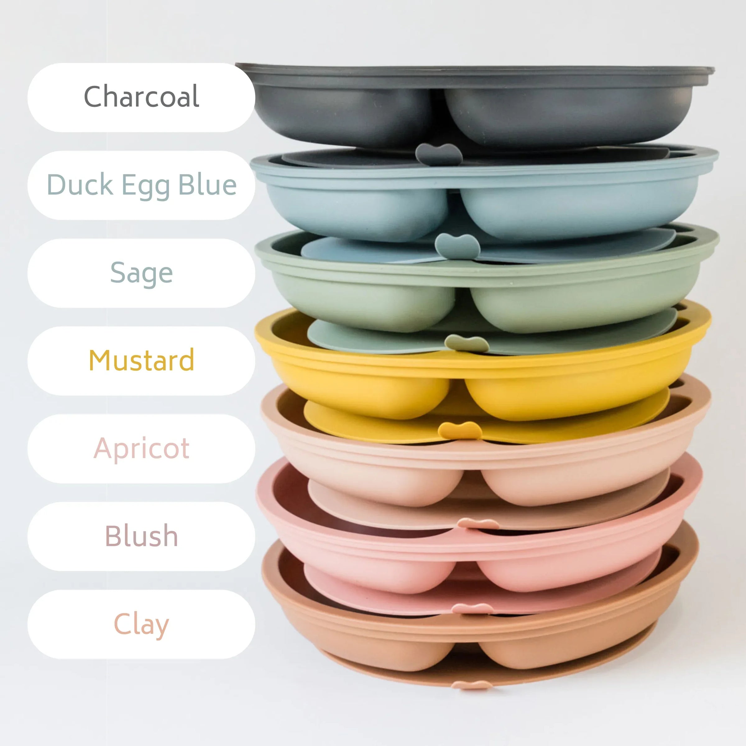 Charcoal Silicone Suction Plate - BIG FRENCHIES