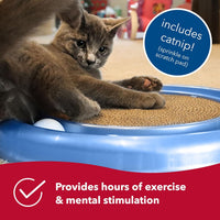 Bergan Turbo Scratcher Cat Toy 16" Interactive Track Ball Scratcher with Catnip