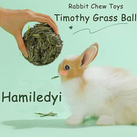 Get Your Furry Friends Hopping with Our Timothy Grass Chew Ball – Perfect Playtime for Bunnies, Hamsters, and Guinea Pigs! 🐰🐹🥳 - BIG FRENCHIES