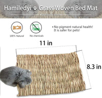 The Ultimate Chew-athon: 12 Grass Mats for Your Furry Friends' Snack Time and Nap Zone! - BIG FRENCHIES