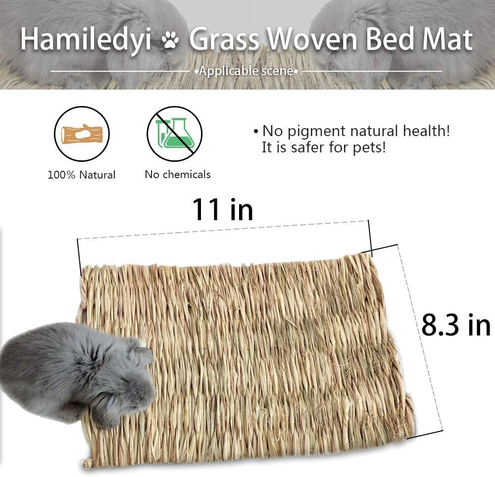 The Ultimate Chew-athon: 12 Grass Mats for Your Furry Friends' Snack Time and Nap Zone! - BIG FRENCHIES