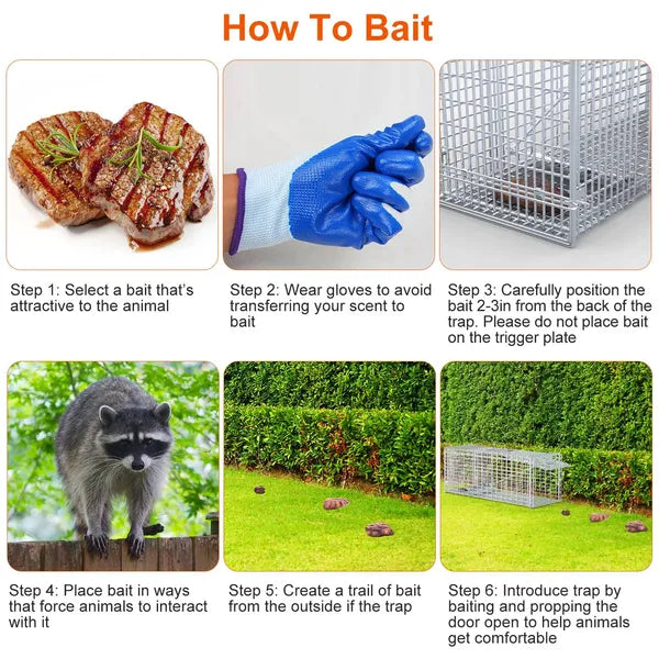 Live Animal Trap Cage 37x14x15in Folding Catch And Release Humane Cat Trap Galvanized Iron For Raccoons Foxes Coyotes St