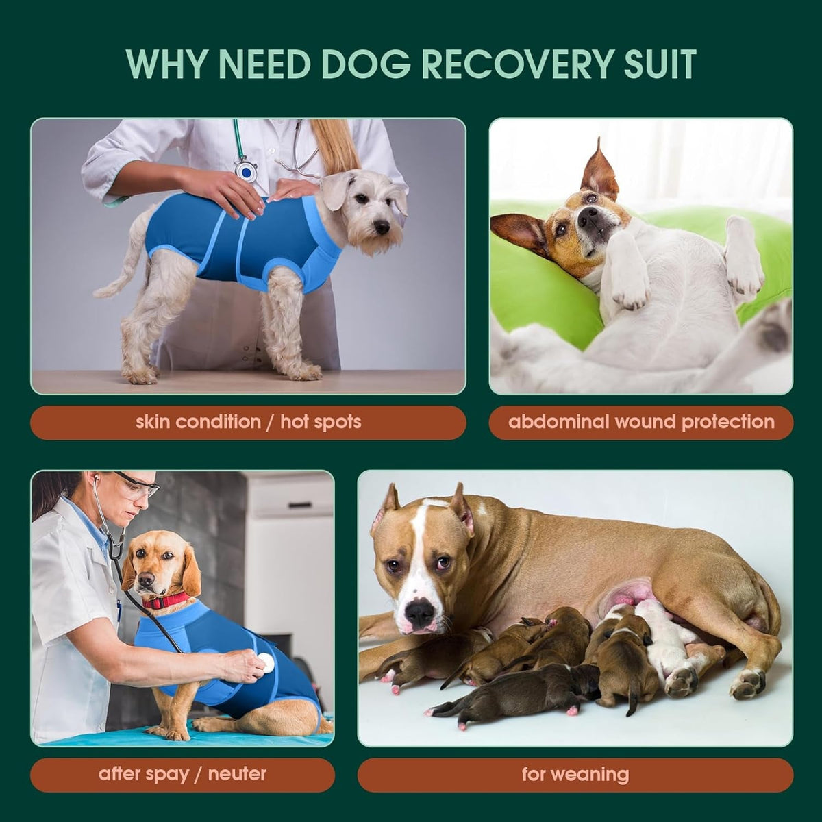 Female Dog Recovery Suit After Spay, XS–2XL