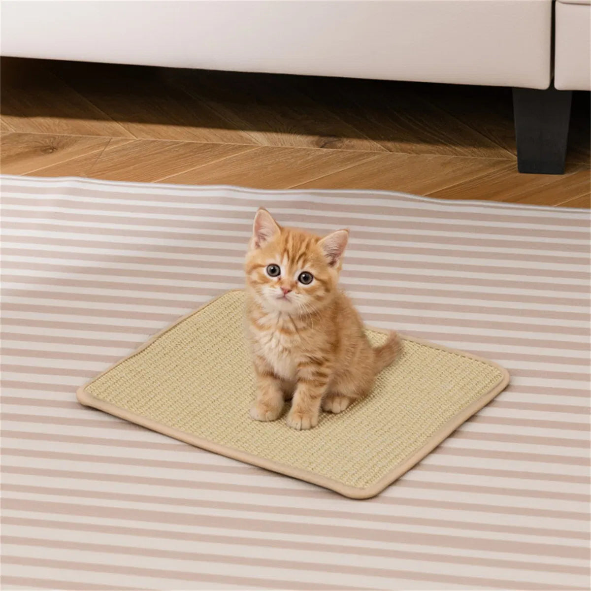 16 x 12 Inch Natural 6-Piece Cat Scratching Mats, Sisal Material Anti-Slip Latex Backing Furniture Protector