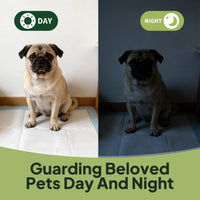 Disposable Dog Training Pads