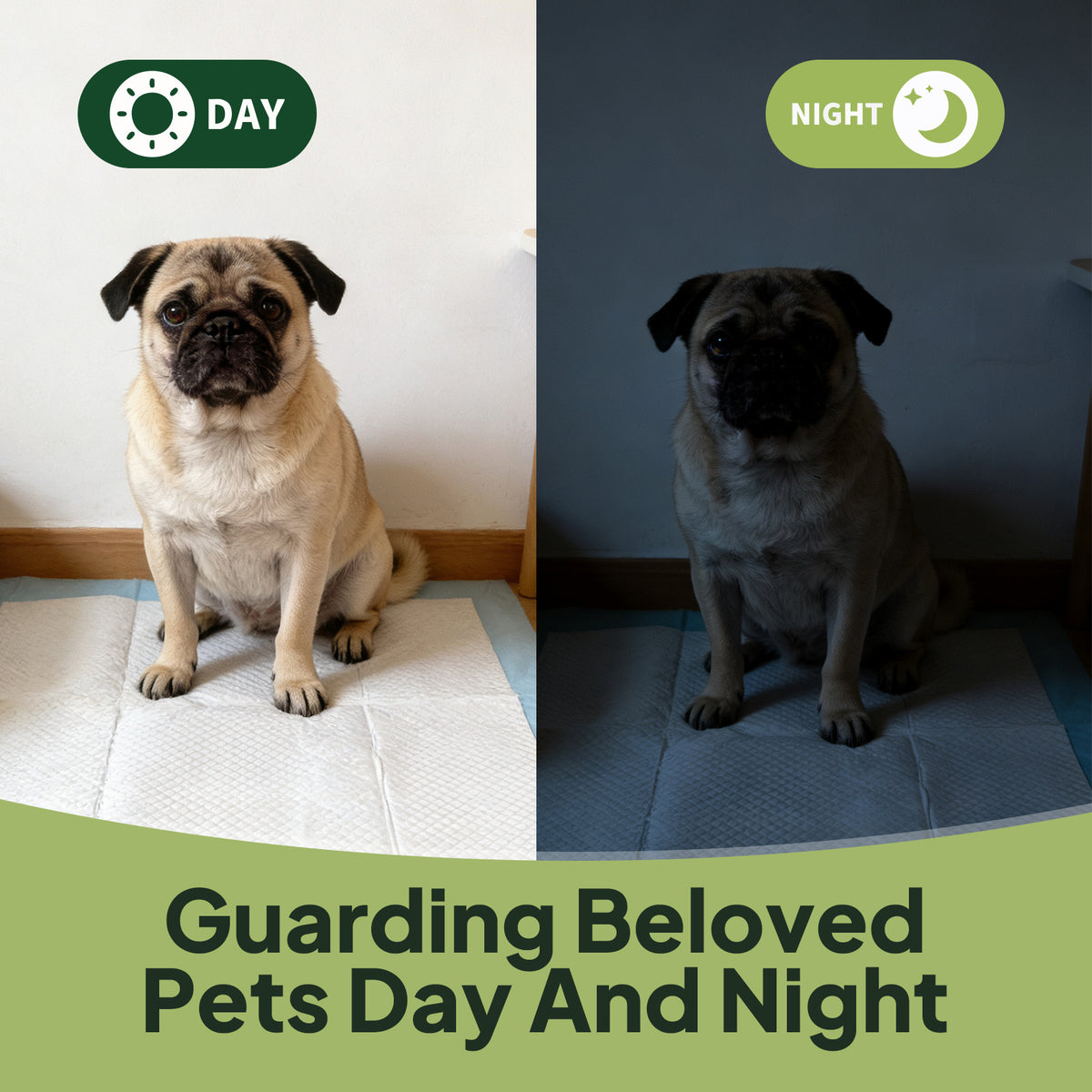 Disposable Dog Training Pads