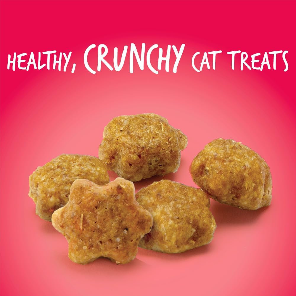 Cat Crunchy Treats made with salmon - BIG FRENCHIES