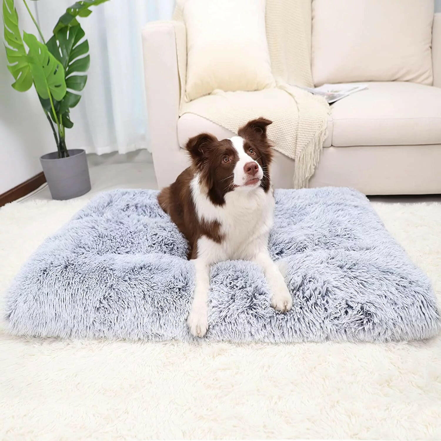Large Dog Mats for Anxiety - Washable & Non-Slip - BIG FRENCHIES