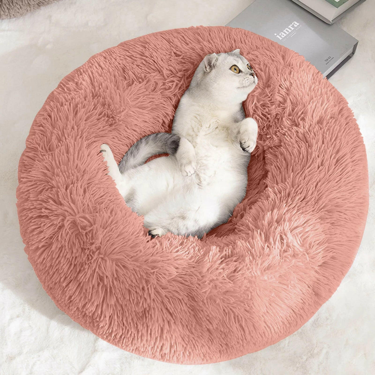 Round Calming Pet Bed - BIG FRENCHIES