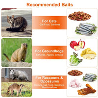 Humane Cat Trap Cage Catch Release Live Animal Rodent Cage Collapsible Galvanized Wire For Small Raccoons Beavers Ground
