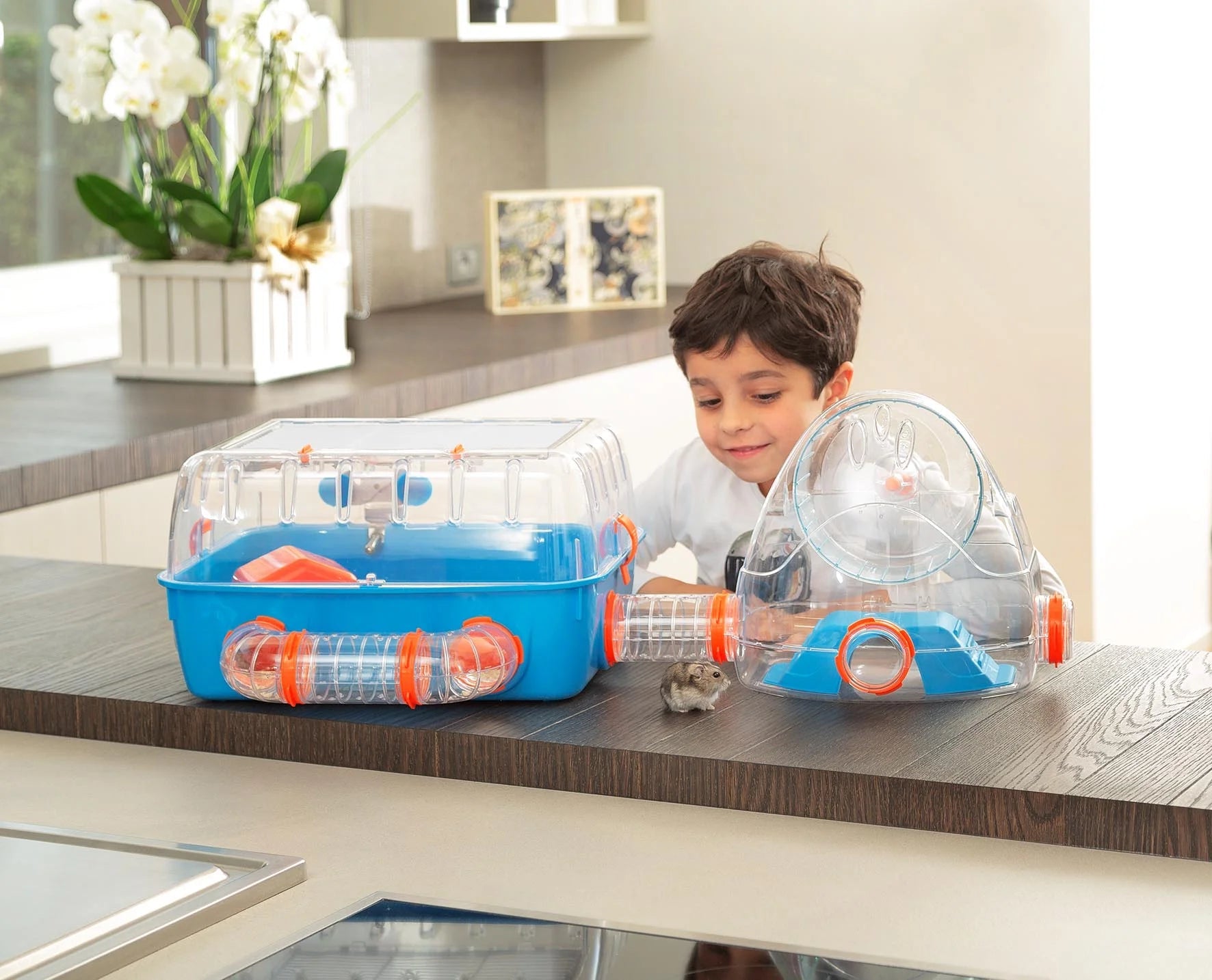 Combi 2 Starter Hamster Cage | Includes Accessories | 31.3L X 11.61W X 10.35H Inches, Blue - BIG FRENCHIES