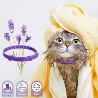 Pet Calming Collar Pheromone Relief And Soothing Collar