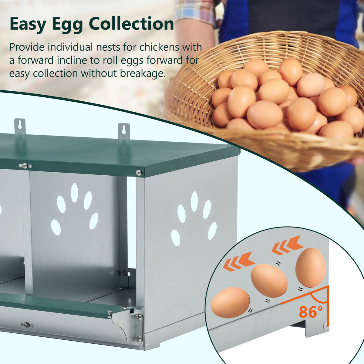 3 Room Metal Chicken Nesting Boxes 3 Compartment Egg Coop
