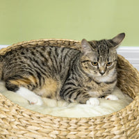 Elevated Cat Bed With Sisal Scratching Post For Indoor Kitties, Modern Cat Tree With Cute Basket Design, Small Cat Tree 