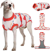 Female Dog Recovery Suit After Spay, XS–2XL