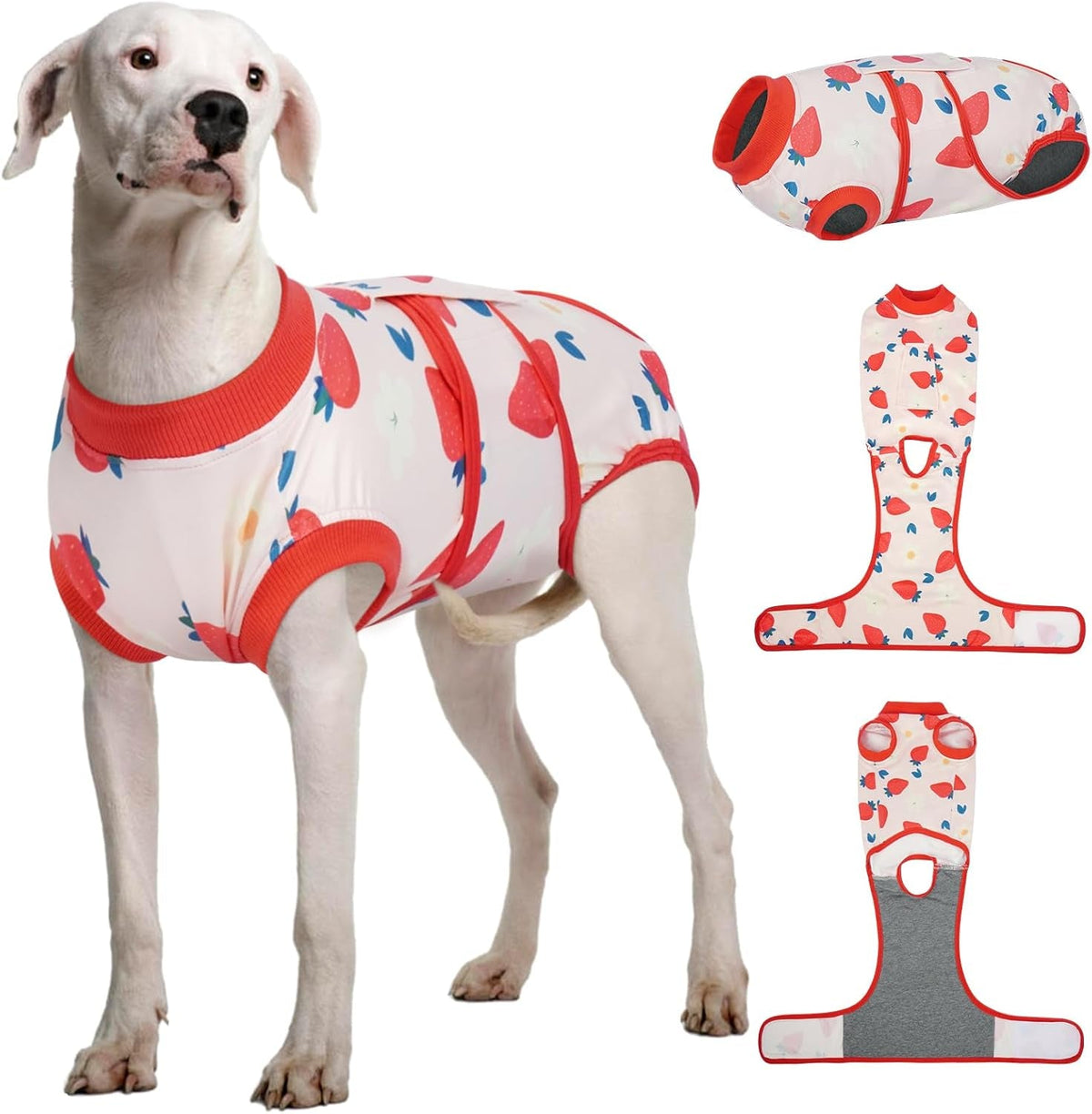 Female Dog Recovery Suit After Spay, XS–2XL