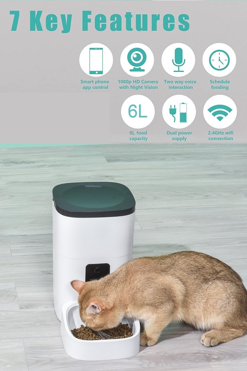 6L Automatic Pet Feeder with Camera&Wifi - BIG FRENCHIES