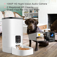6L Automatic Pet Feeder with Camera&Wifi - BIG FRENCHIES