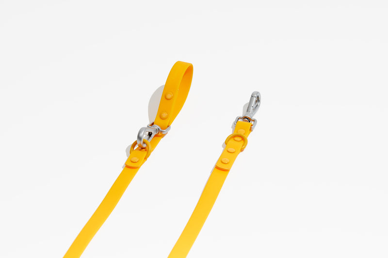 Luxe Leash - Soleil-Leash-BIG FRENCHIES-Pawmigo