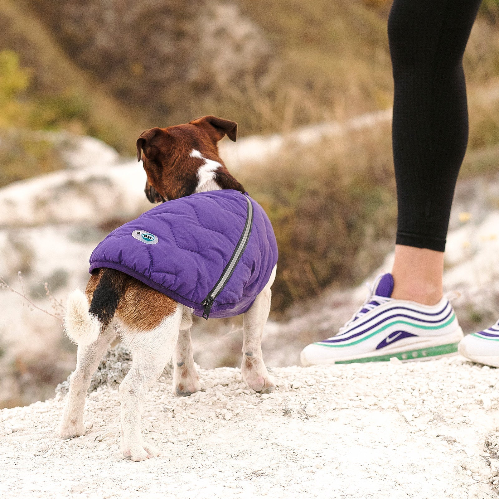 Sustainable Eco-Friendly Dog Jacket / Vest - Made in Ukraine - BIG FRENCHIES