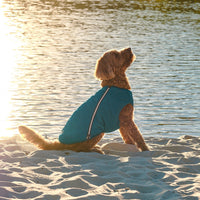 Sustainable Eco-Friendly Dog Jacket / Vest - Made in Ukraine - BIG FRENCHIES