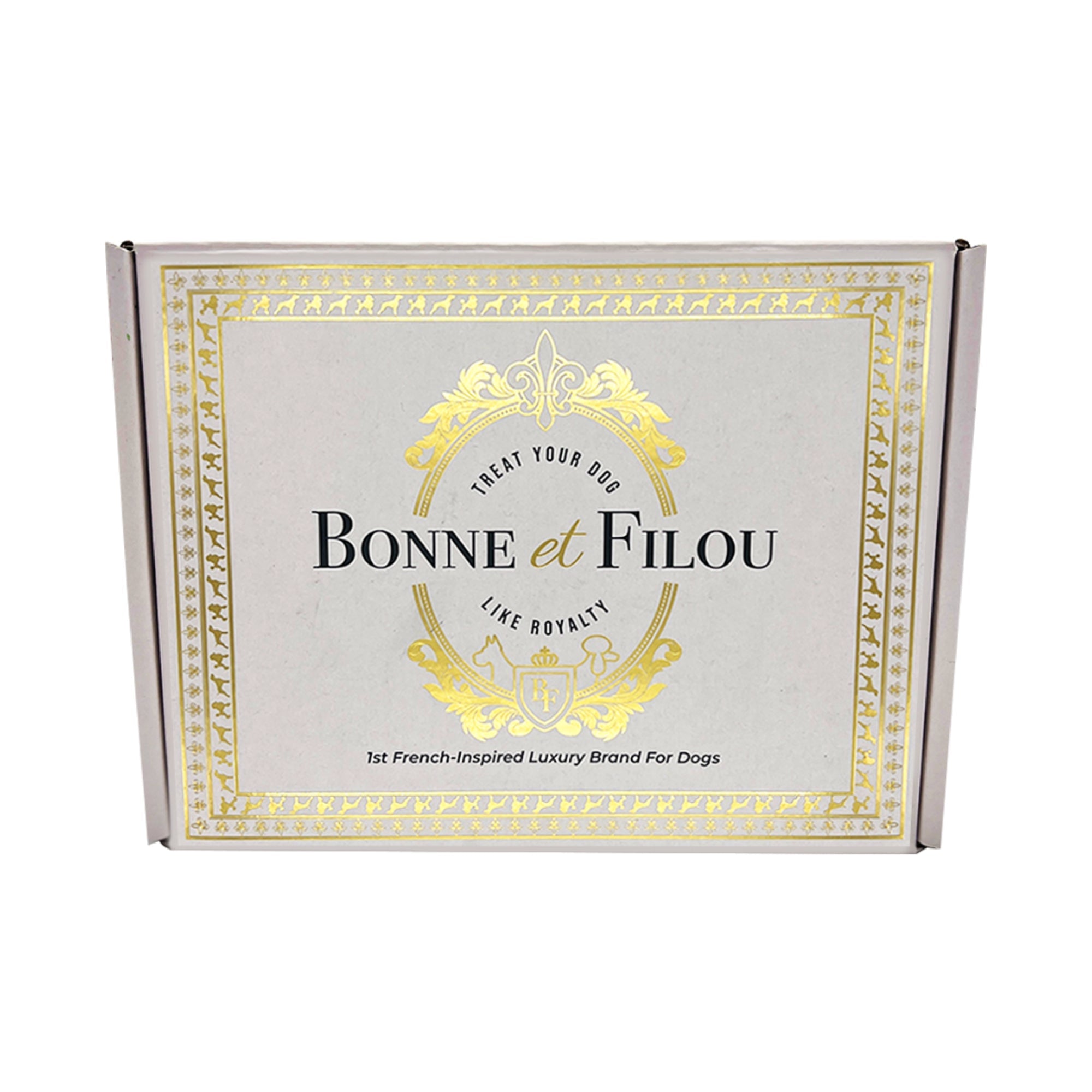 Spring Themed Dog Treats Gift Box - BIG FRENCHIES