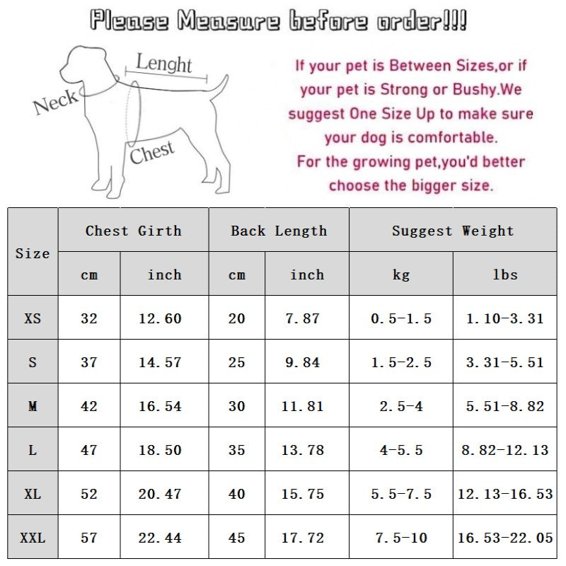 Dog Clothes, Cartoon Dinosaur Transformation Outfits, Small Bichon Frise Funny Two-legged Clothes, Autumn And Winter Pet Dog Clothes