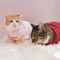 “Spoiled” Mock Neck Shirt - Cupid’s Blush